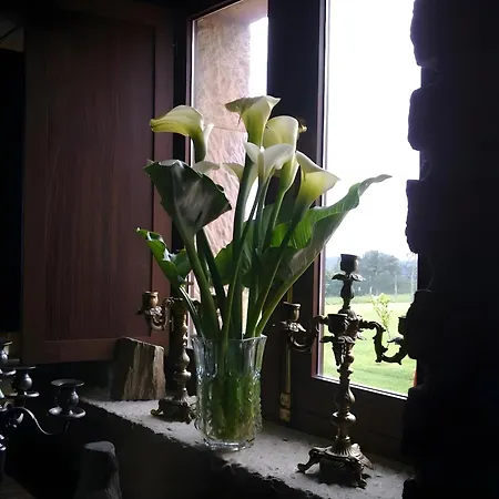 Casona Asturiana Gamonales Guest house Carreno